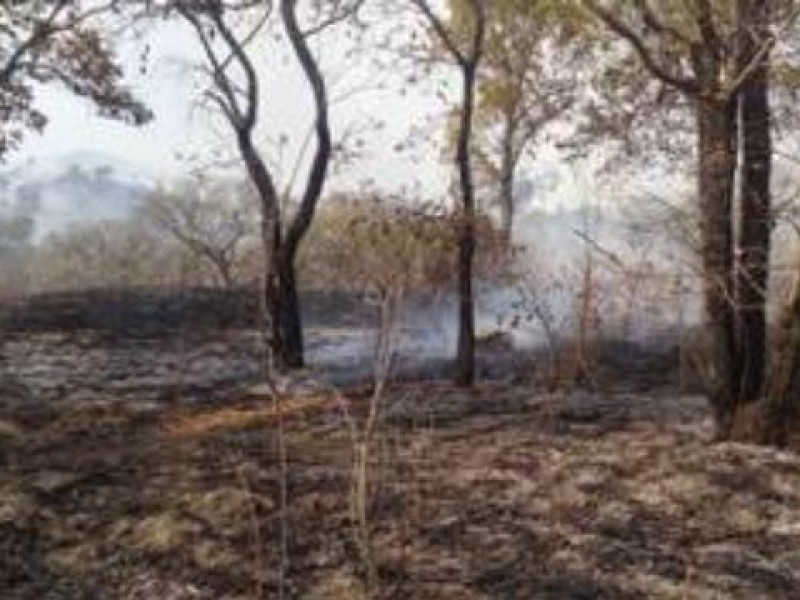 Fuego consume mas de mil hectáreas en Cintalapa, Chiapas