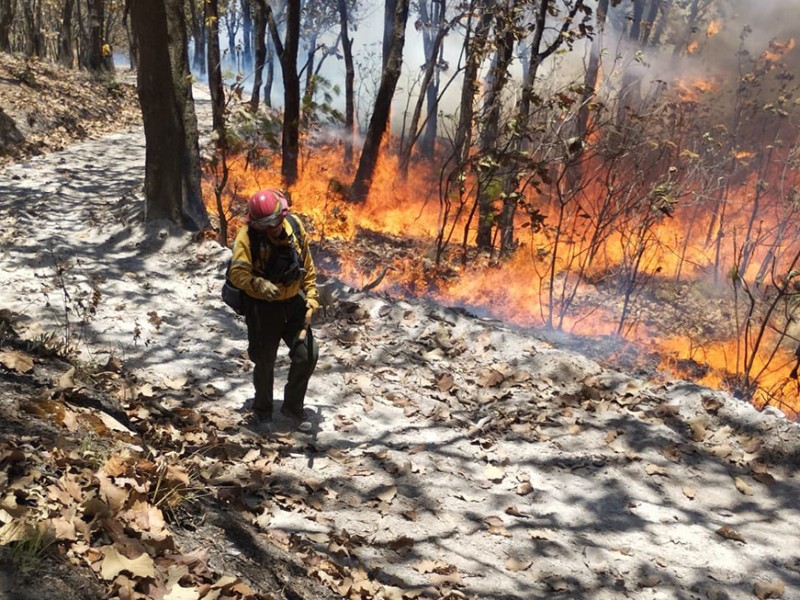 Fuego de nuevo en La Primavera, junto a asentamiento irregular