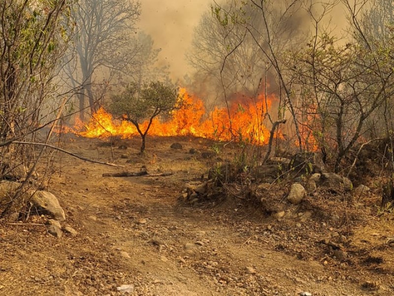 Fuego en la primavera quedará liquidado hasta mañana