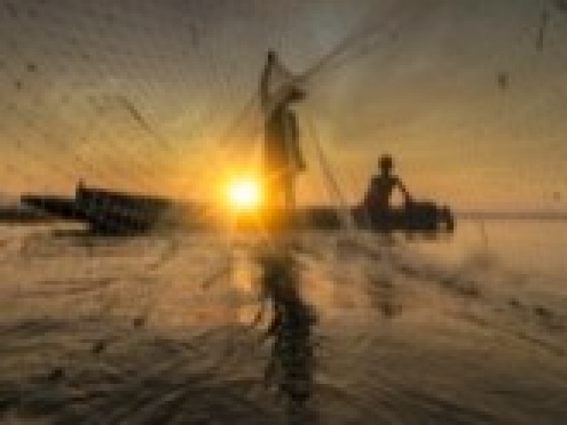 Fuera de peligro cooperativas pesqueras en 2022