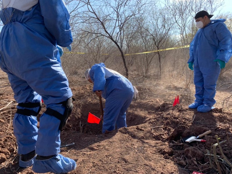 Fueron dos cuerpos y 4 osamentas encontradas en Cajeme