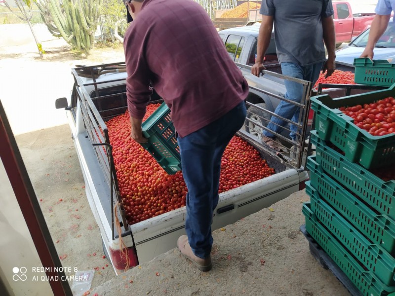 Fuerte golpe a productores cabeños