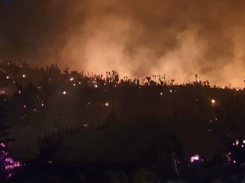 Fuerte incendio forestal se presenta en cerro de Oriental