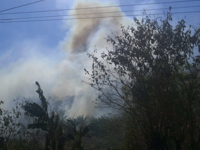 Fuerte incendio se registra en Copalita Oaxaca