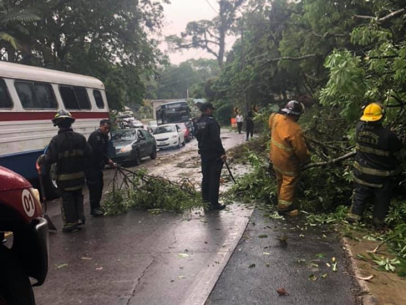 Fuerte lluvia deja afectaciones en Coatepec y la región