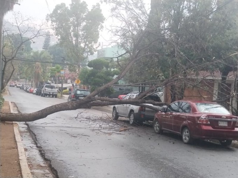 Fuerte lluvia deja importantes afectaciones en la capital oaxaqueña