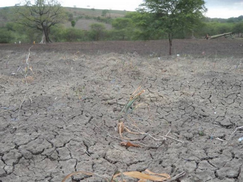 Fuerte sequia de agua se espera en BCS