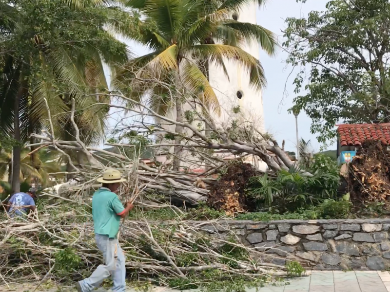 Fuertes vientos tiran árboles, espectaculares y postes