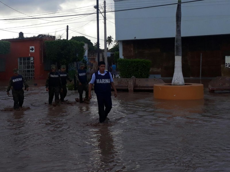 Fuerzas federales fueron solicitadas para apoyar en Nayarit