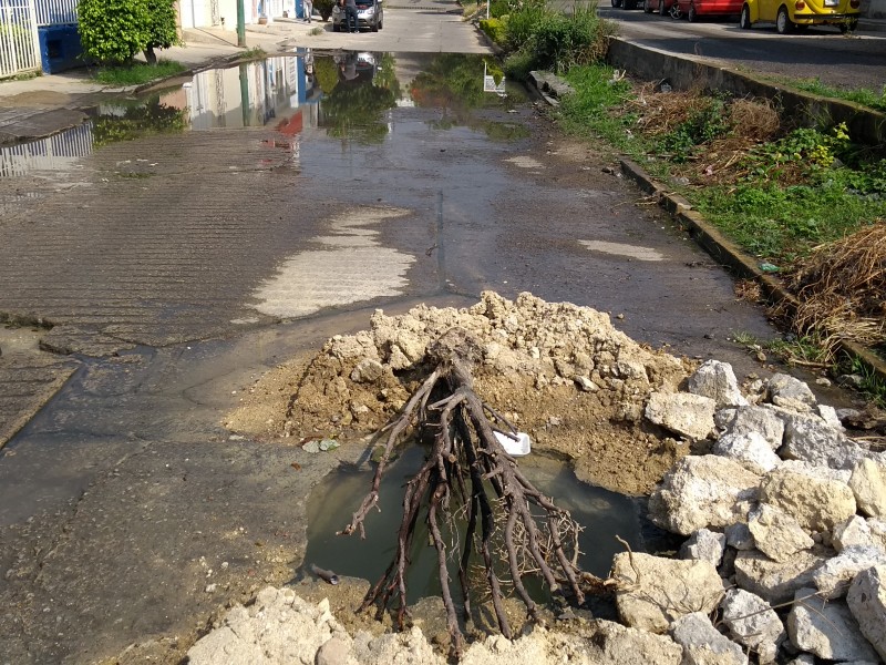 Fuga de agua lleva dos años sin atención