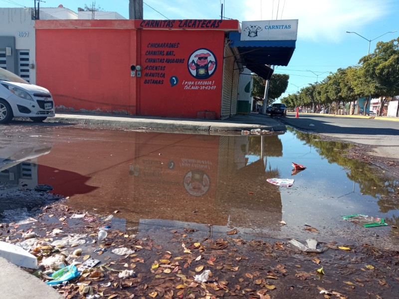 Fuga de agua lleva un año sin atenderse