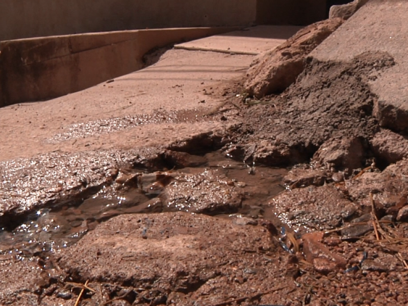 Fuga de agua por un año sin atender