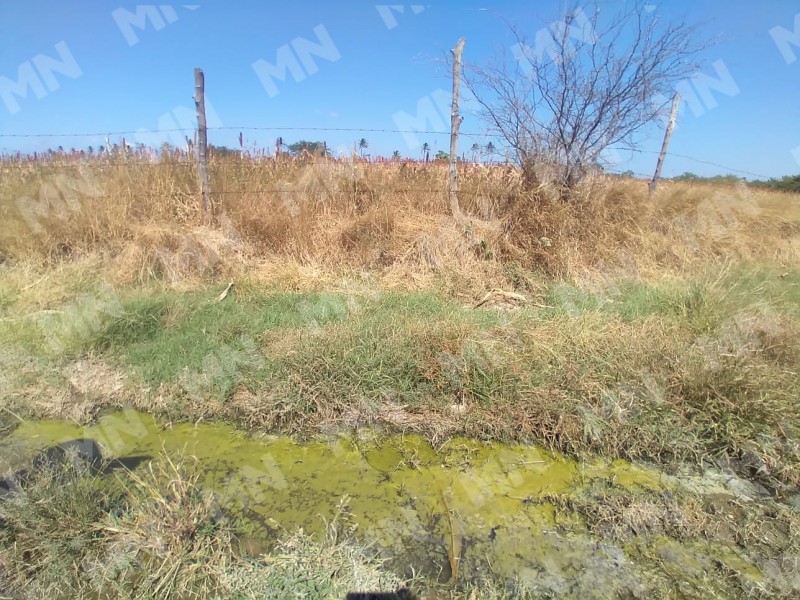 Fuga de aguas negras afecta a agricultores de Tehuantepec