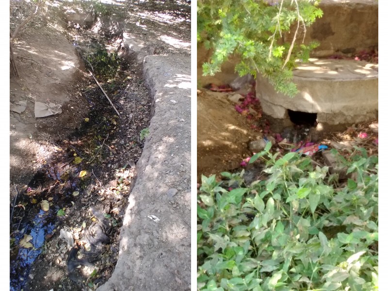 Fuga de aguas negras afecta a comerciantes de Tehuantepec