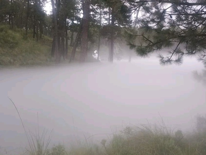 Fuga de gas en Nanacamilpa provoca evacuación de 3 mil personas