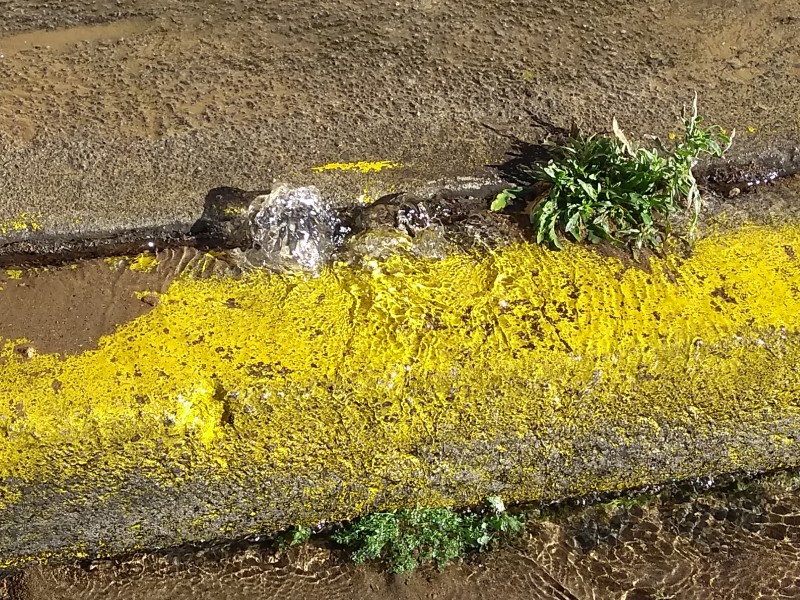 Fuga Provoca Desperdicio De Agua Potable En Toluca Meganoticias