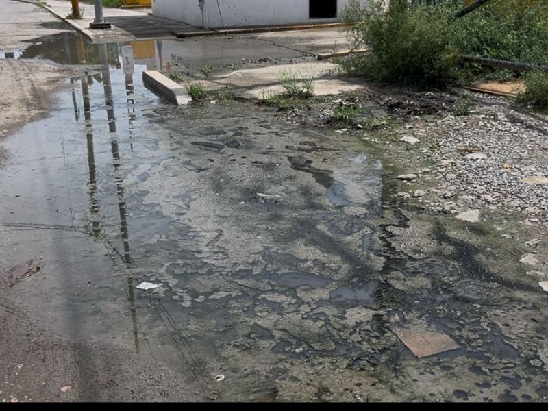 Fugas de drenaje generan alerta sanitaria en Tuxpan