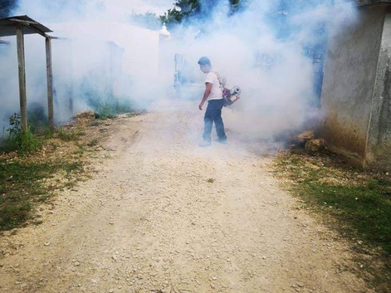 Fumigación continúa en Berriozábal