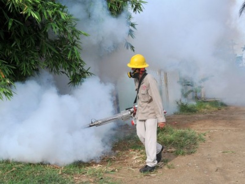 Deben buscarse nuevas formas de fumigación: Ambientalistas