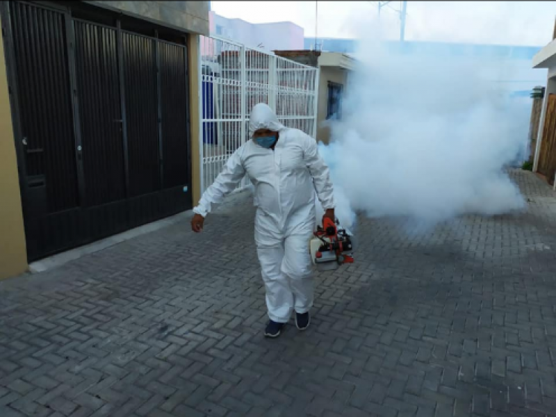 Fumigación poco efectiva para combatir incidencia de dengue