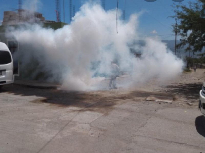 Fumigaciones contra el dengue son focalizadas:SSJ