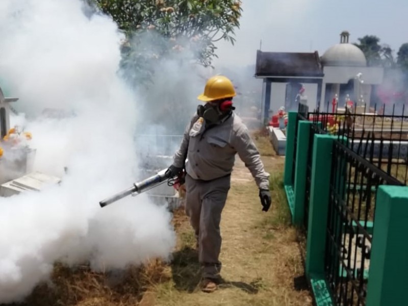 Fumigan calles y panteones para combatir dengue