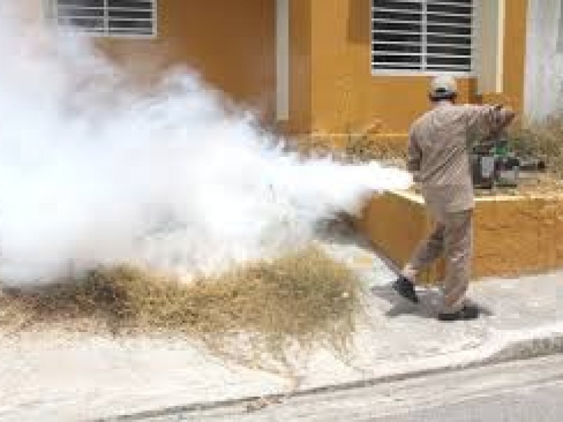 Fumigan San Vicente ante incremento de dengue