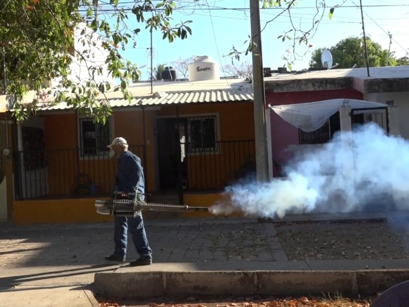 Fumigarán contra mosco transmisor del dengue en Colima, Manzanillo, VdeA