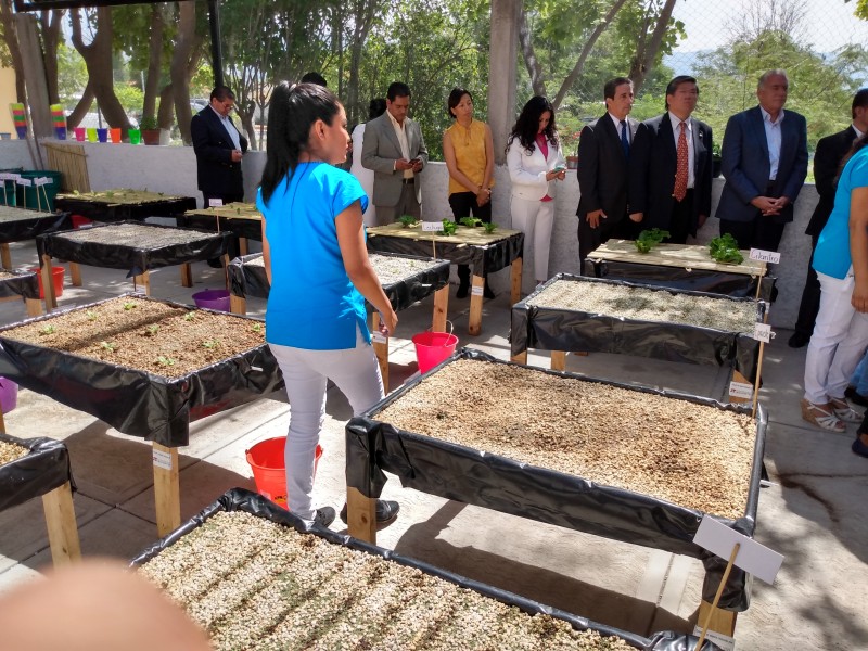 Fundaciones inauguran laboratorio hidropónico en preescolar indígena