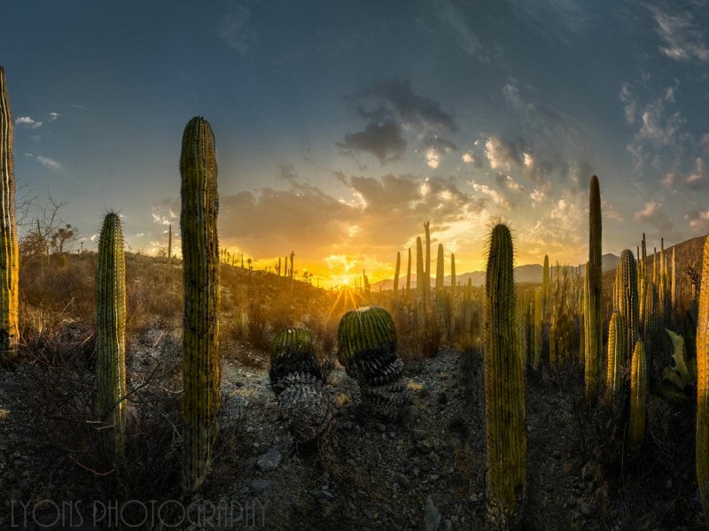 Gana tehuacaneros premio nacional de fotografía