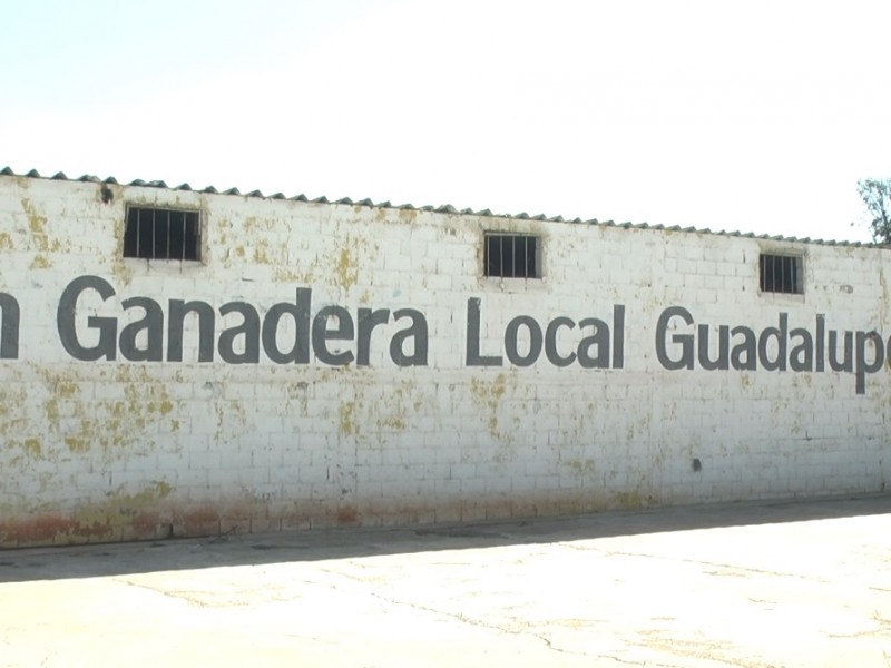 Ganaderos de Guadalupe denuncian irregularidades en Asociación