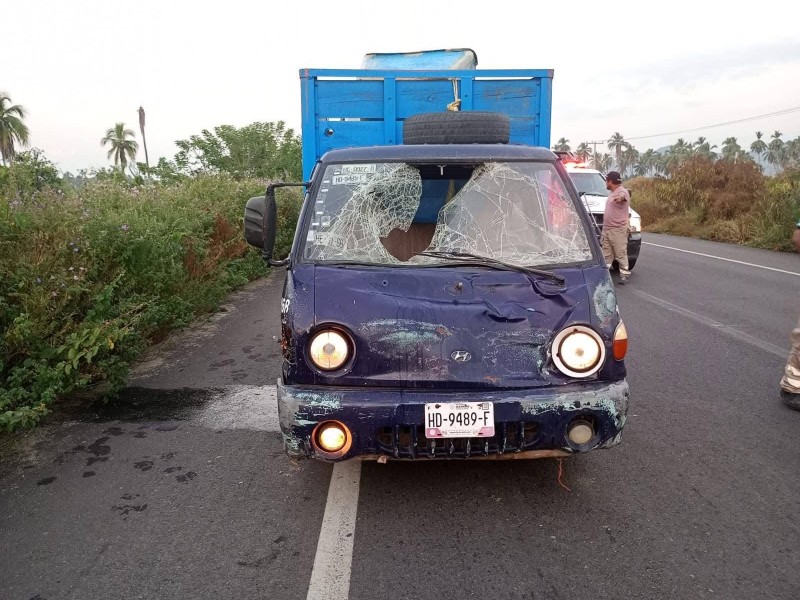 Ganado suelto provoca accidente en la carretera Acapulco-Zihuatanejo