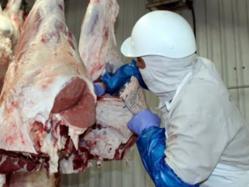 Garantizado el abasto de carne de res