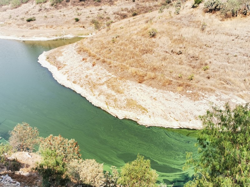 Genera inconformidad construcción de potabilizadora en presa Madín