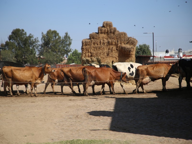 Genera Querétaro y Aguascalientes sinergia en materia agropecuaria