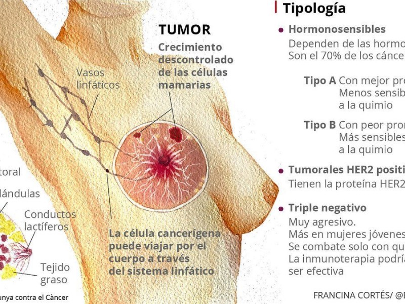 Genética y hormonas, factores de riesgo para cáncer de seno