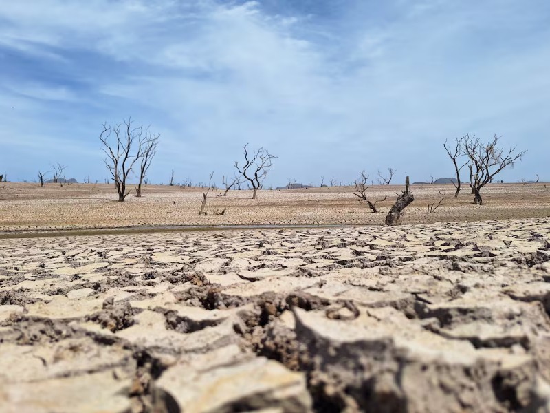 Gestionarán declaratoria de emergencia por sequía en el Sur de Sonora
