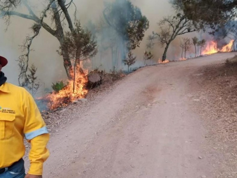 Gobernador llama a alcaldes, a colaborar en combate de incendios