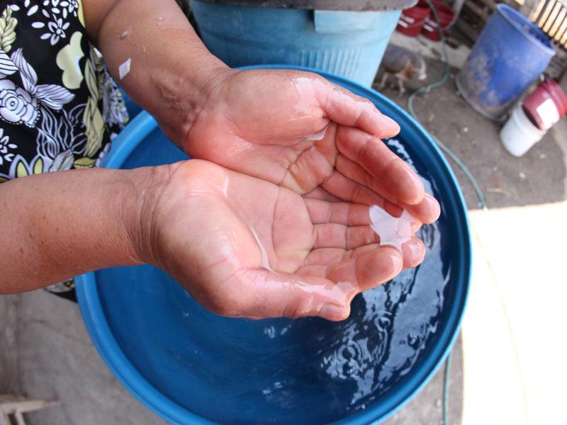 Gobernadora destaca estrés hídrico como principal reto de Guanajuato ante escasez