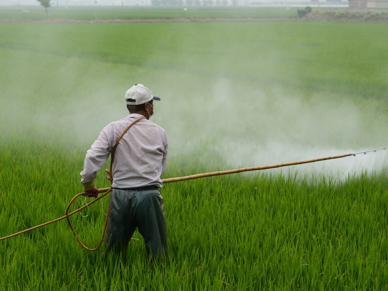 Gobierno da marcha atrás a prohibición de glifosato