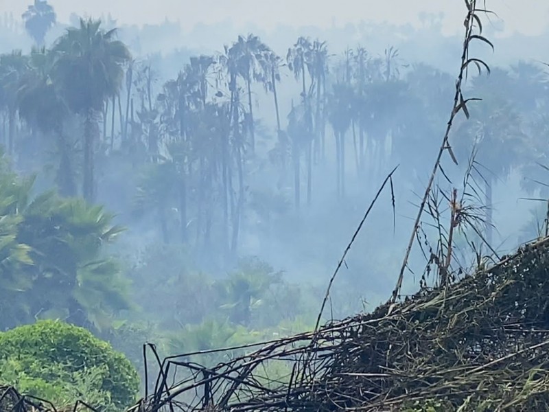 Gobierno de BCS activa protocolo por emergencia de incendio