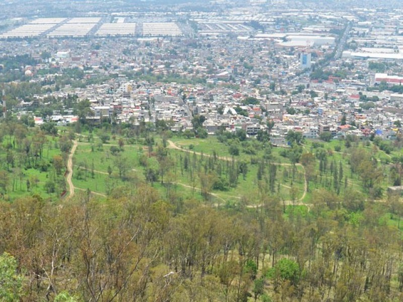 Gobierno de CDMX plantará 10 millones de árboles