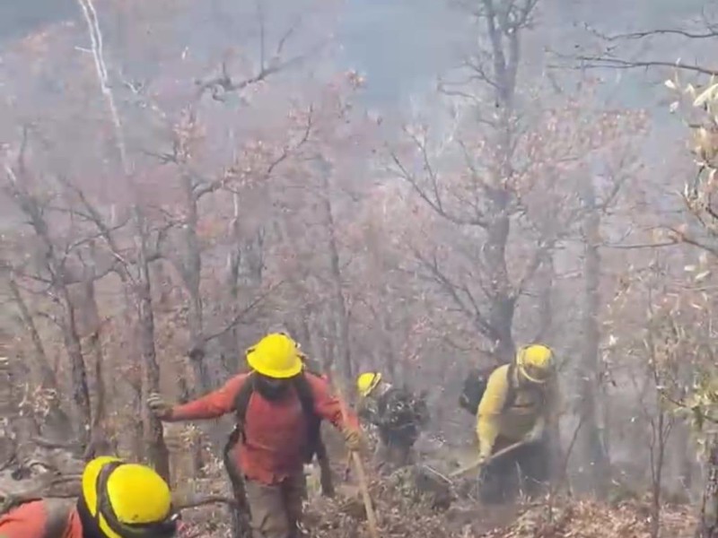 Gobierno de Sonora avanza en el combate de incendios forestales