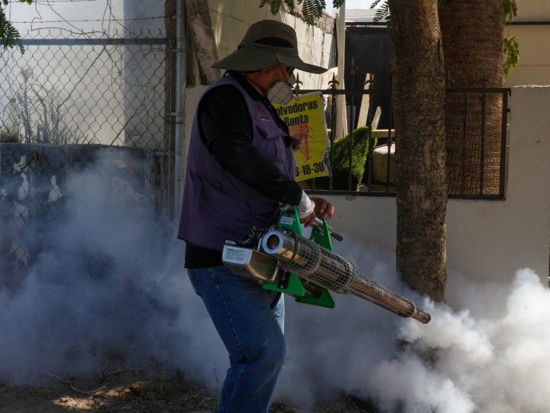 Gobierno de Sonora desmiente muertes por dengue en el estado