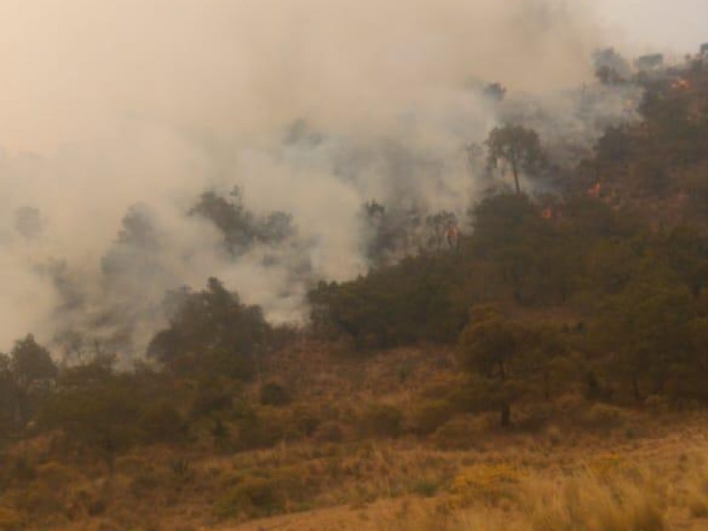 Gobierno del Estado niega afectación de viviendas por incendios