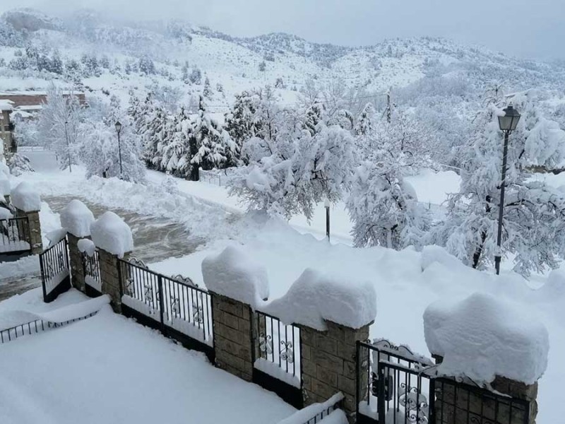 Gobierno español declara zona catastrófica a territorios afectados por nevadas