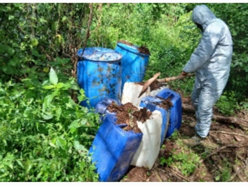 Gobierno federal asegura más de 131 MDP en drogas en Sinaloa