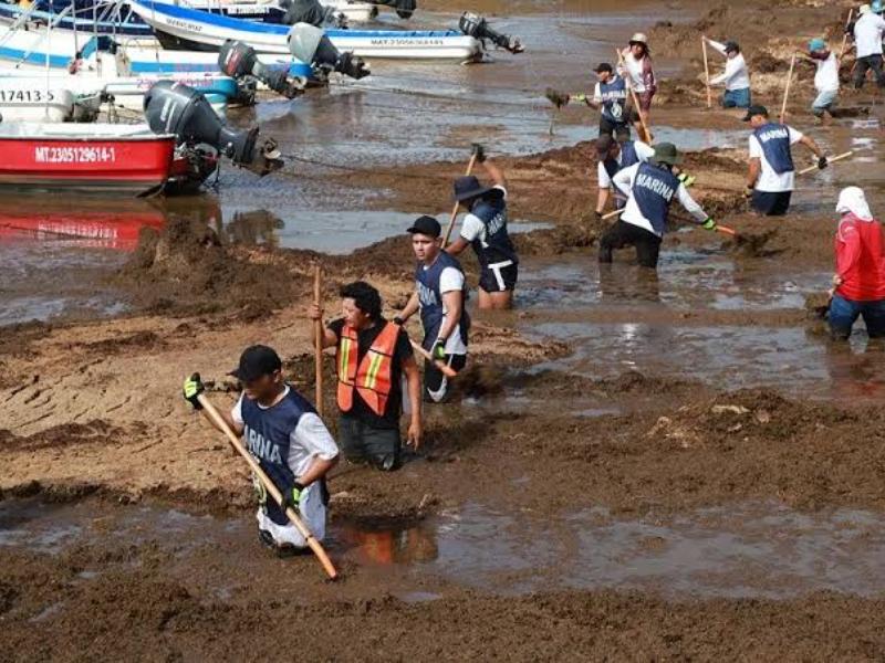 Gobierno Federal invertirá 2 mil mdp para combatir el sargazo