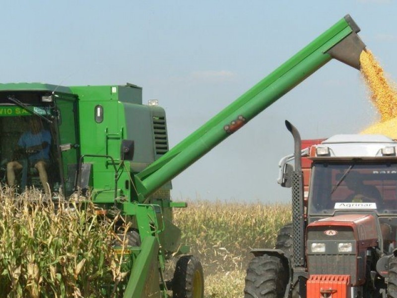 Gobierno vigilará comercio justo del maíz