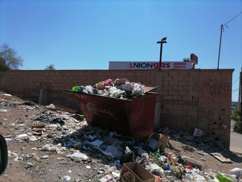 Golondrinas en total abandono con la basura